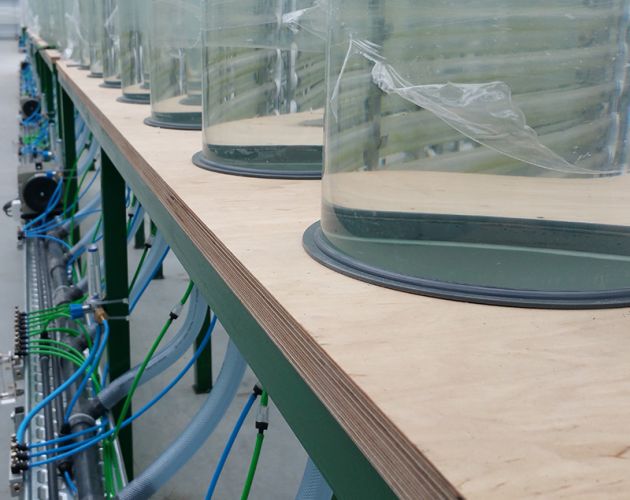 Bioreaktory do wytwarzania energii z alg